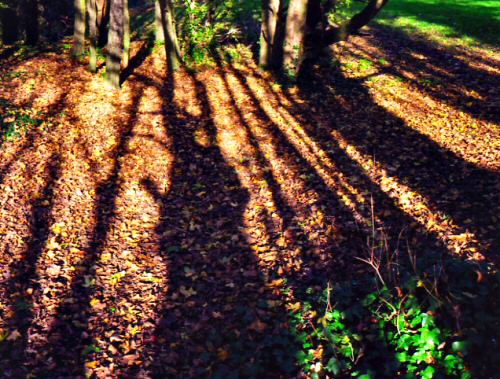nag-autumn38.jpg