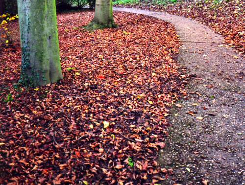 nag-autumn34.jpg