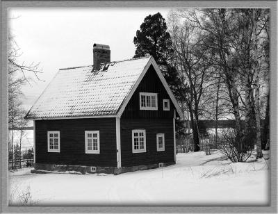 u12/mistermattias/medium/38274203.29.jpg
