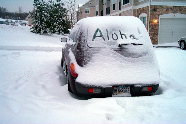 Aloha Car