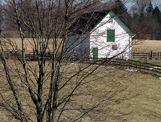 Green Window House