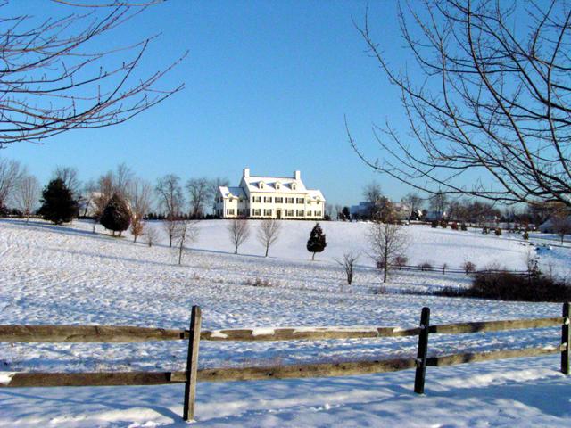 Mansion 04