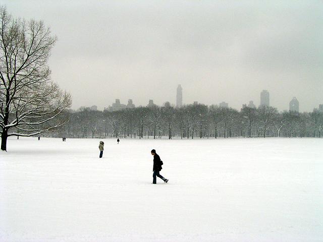 Central Park 24