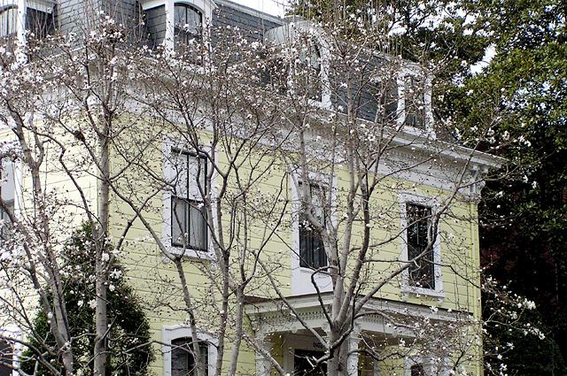 Georgetown 24