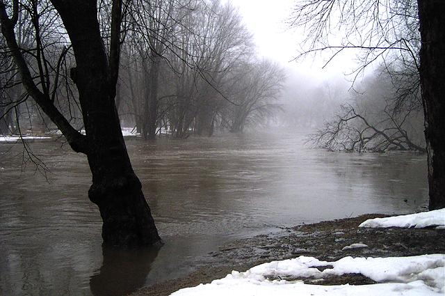 Brandywine Creek Flood