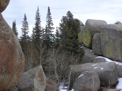 Rock & Trees