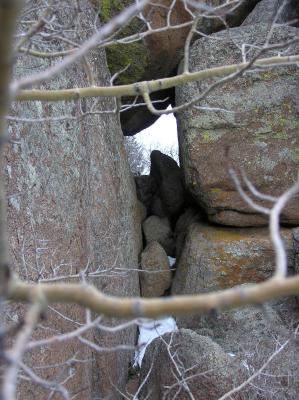 Through Trees