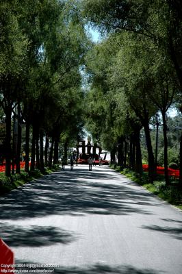 Harbin 哈爾濱 - 太陽島 Sun Island