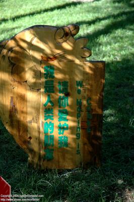 Harbin 哈爾濱 - 太陽島 Sun Island - we hoping is cobbe