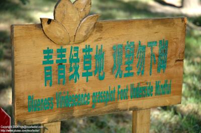 Harbin 哈爾濱 - 太陽島 Sun Island - dlueness viridescence grassplot foot underside mindful