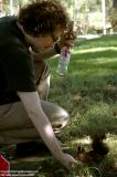 Harbin 哈爾濱 - 太陽島 Sun Island - Squirrel