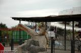 Shenyang 瀋陽 - 棋盤山森林野生動物園 - Monkeys
