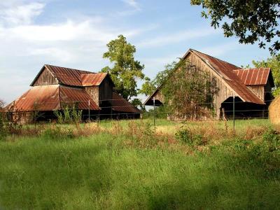 Two old barns, built in 1897-98
