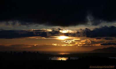 Mellow Gold by Dennis Dangerfield