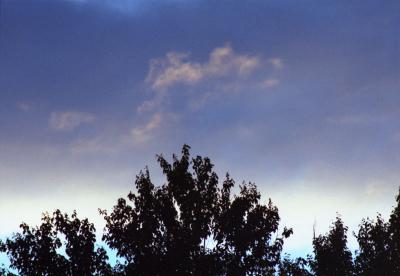 038-24C-01N-800.jpg