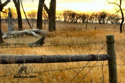 'fenced in ... '