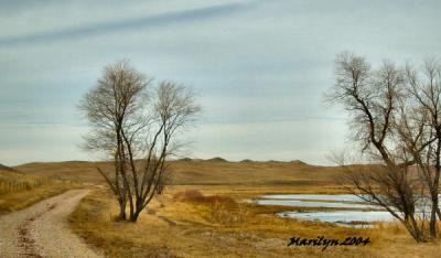 'long road home ... '