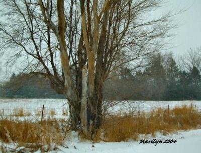 'rising outta the snow ... '