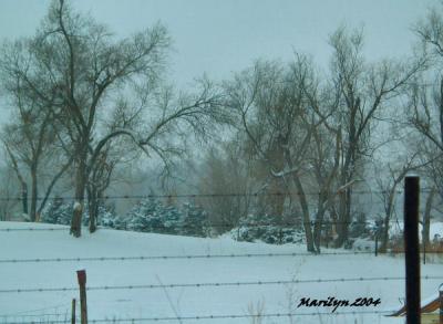 'brrrrr .. chilly day'