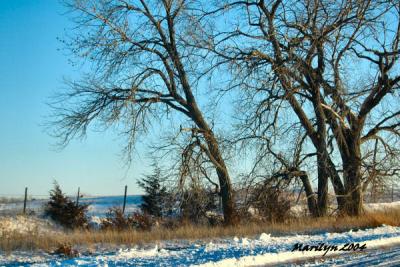 'snowy roadside ... '