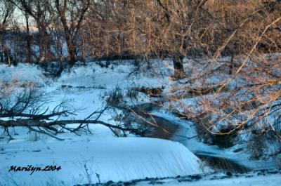 'ice and branches ... '