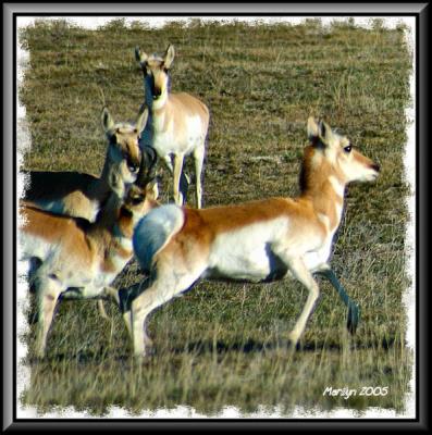 'you can stay if you wanna but ... i'm outta here!!!'