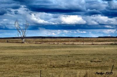 'lonesome ... '