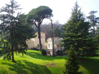 P1050040.JPG