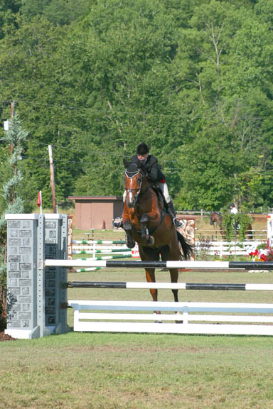 IMG_1269 copy.jpg