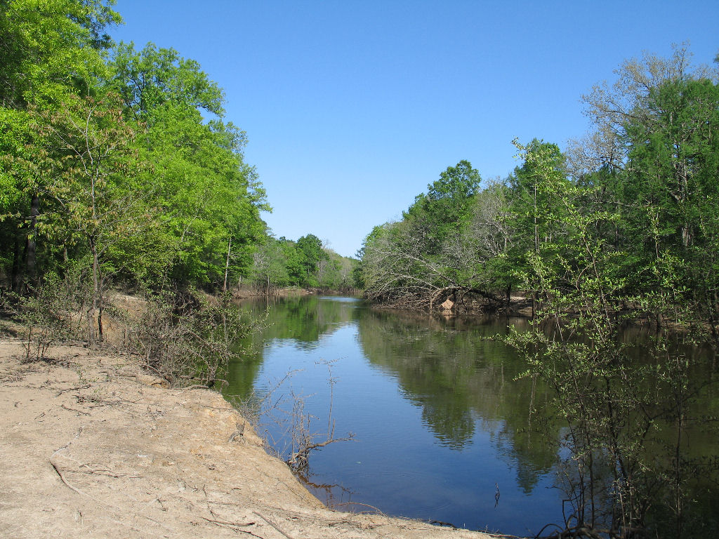 Down On The Creek
