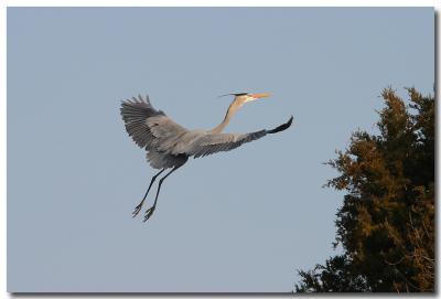 IMG_9032.jpg