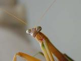 DSCN0481.jpg