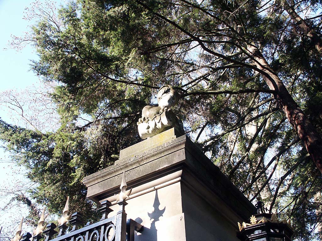 PICT2641.JPG