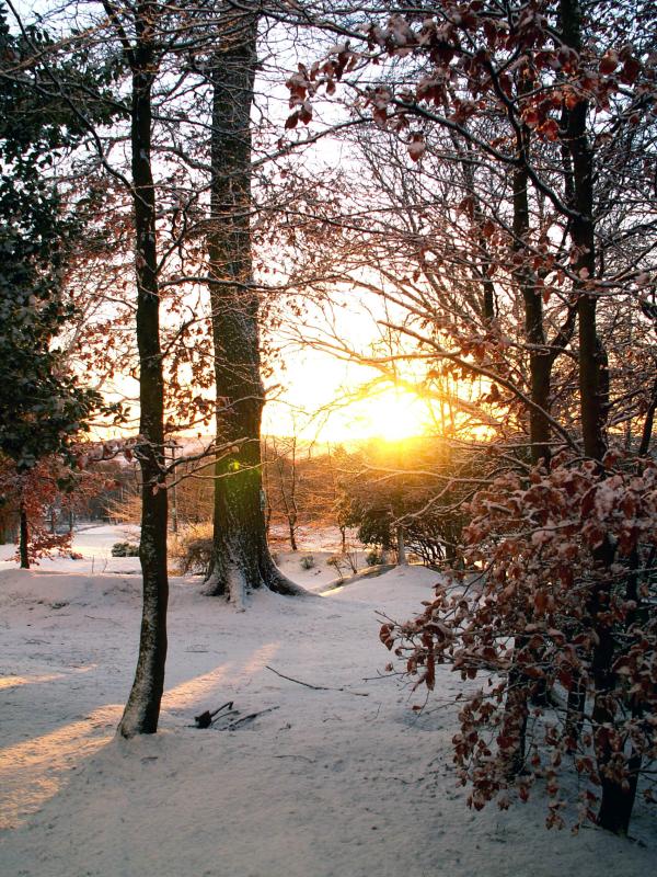 2jan0521a.jpg