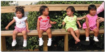 u12/papdogs/medium/2933329.IMG_1581.jpg
