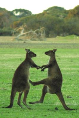 South Australia