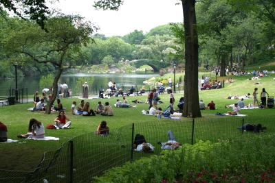 Central Park