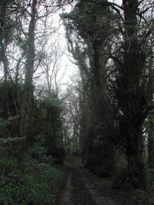 footpath