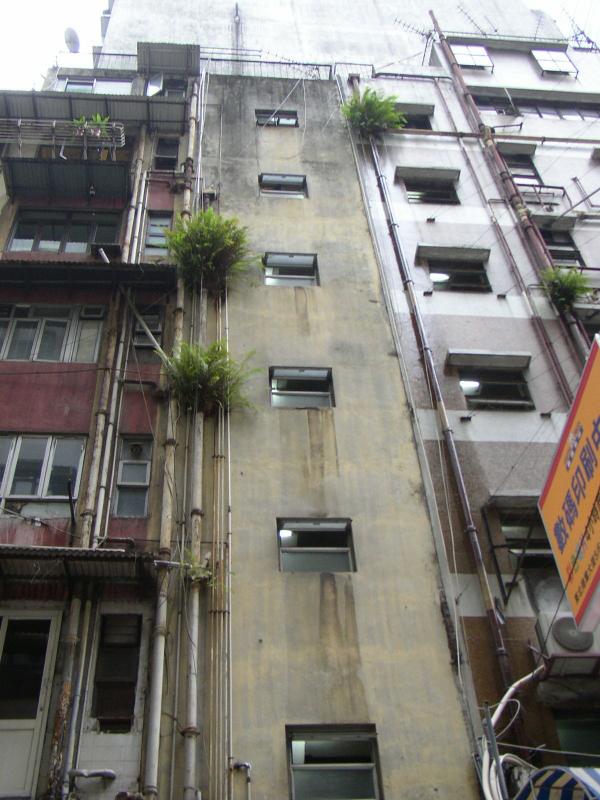 PA280226.jpg