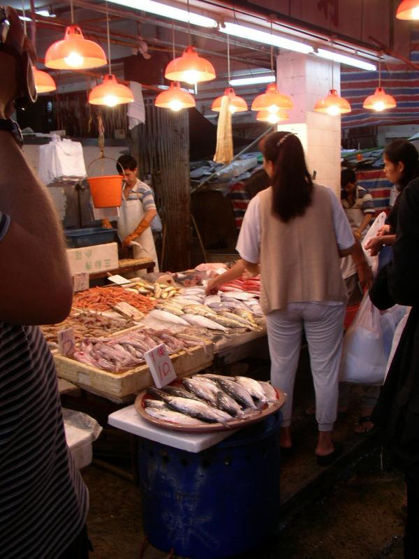 PA290020.jpg