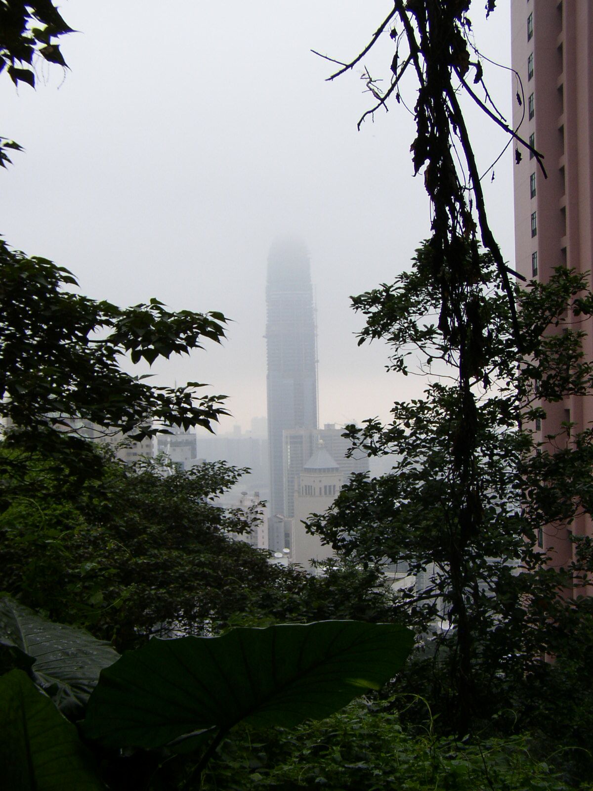 PA280239.jpg