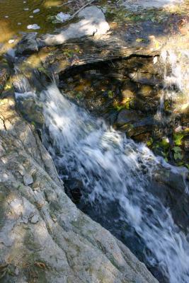103_0392_1.JPG