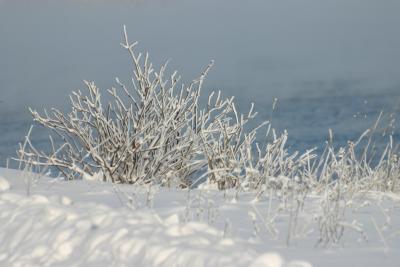 IMG_2786_1.jpg