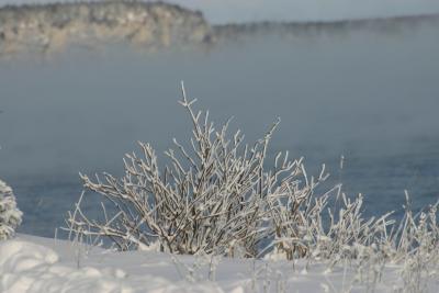 IMG_2787_1.jpg