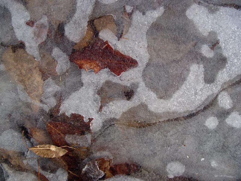 2jan05-9.jpg