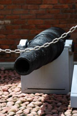 Cannon