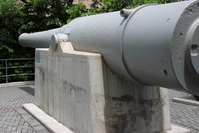 BIG gun