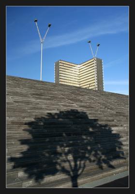 BNF