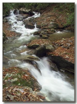 Rough Butt Creek Cascades