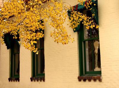 Watching Us, Santa Fe, New Mexico, 2004